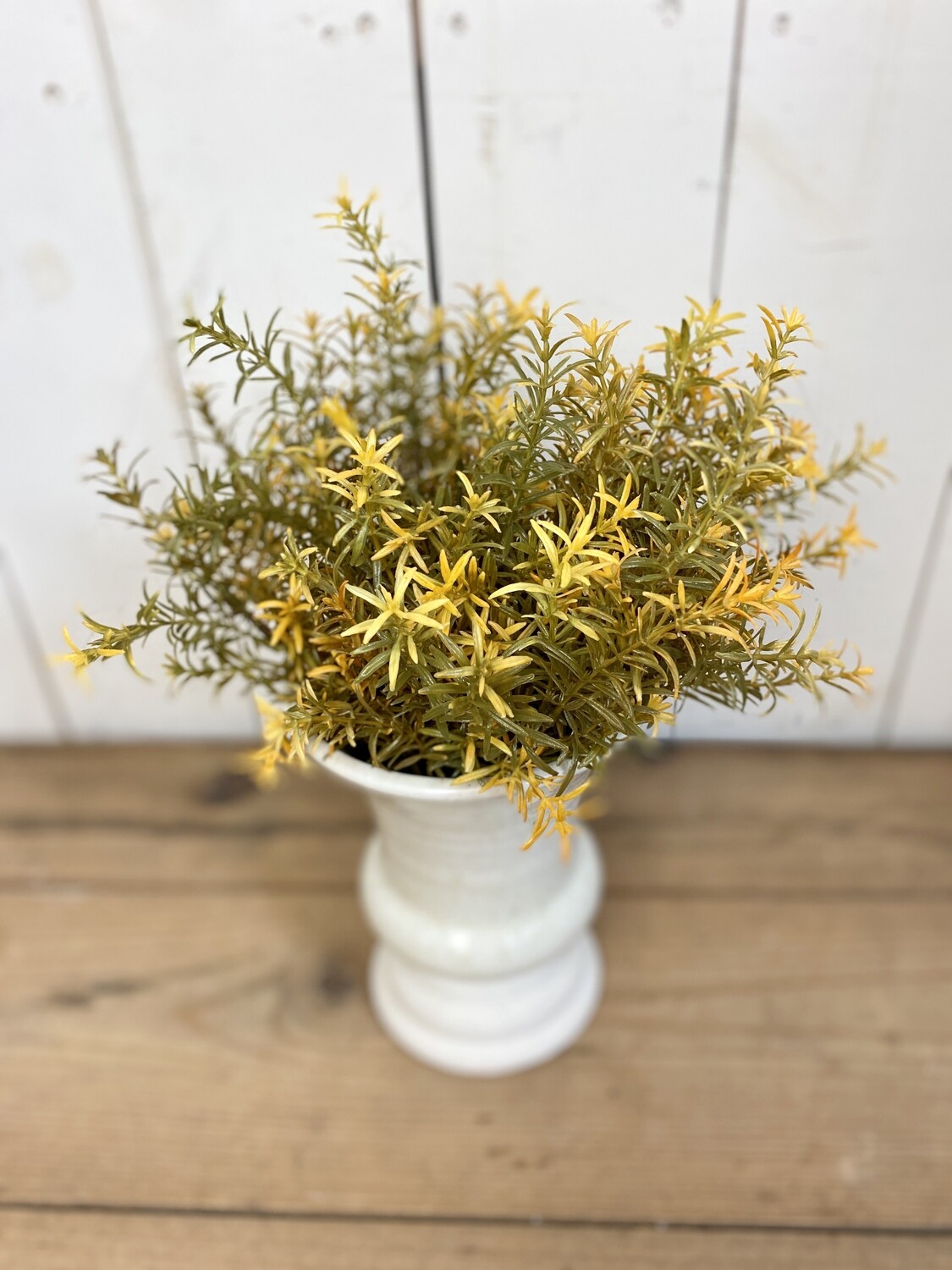 Harvest Rosemary Bush