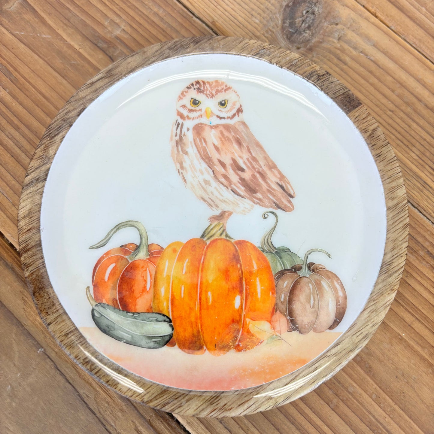 Harvest Friends Trinket Dish - 4 Styles
