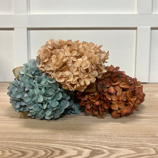 Fall Hydrangea Bushes