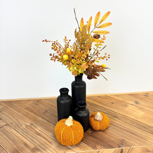 Harvest Eucalyptus Bottle Set Kit