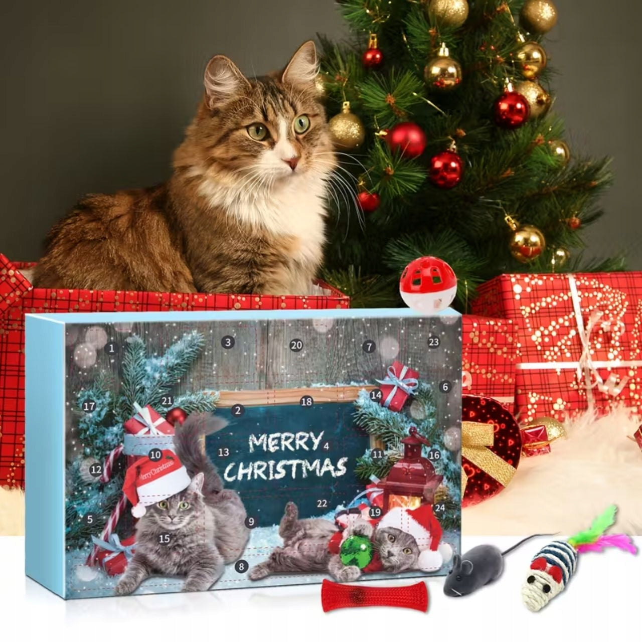 🎄 2025 New Cat Advent Calendar