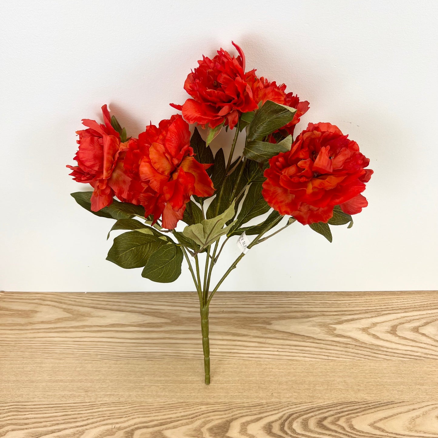 Fall Peony Bush - 3 Colors