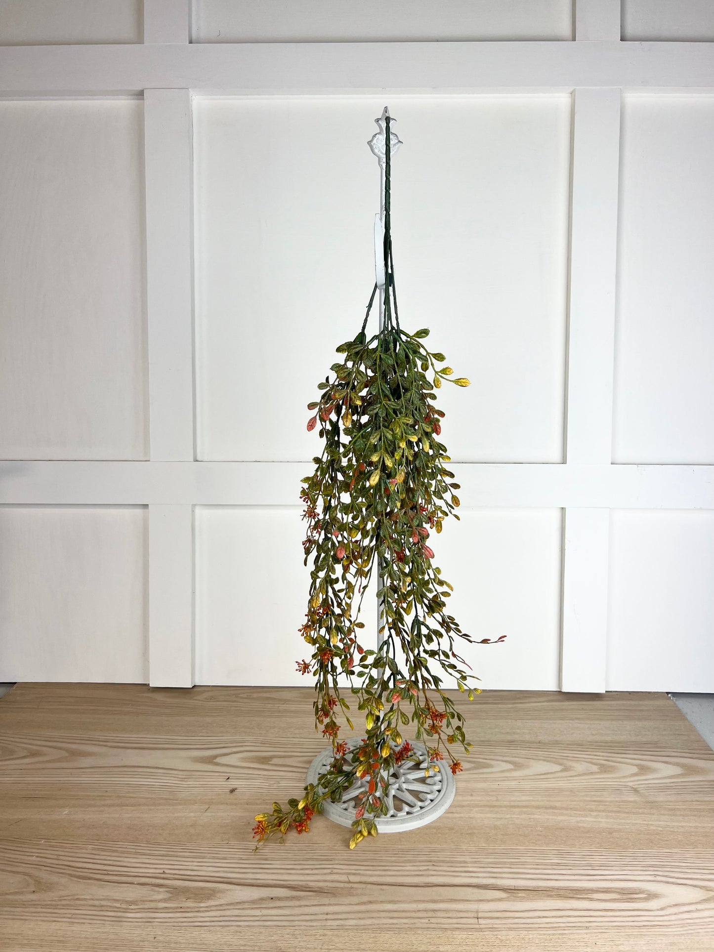 English Boxwood Berry Vine