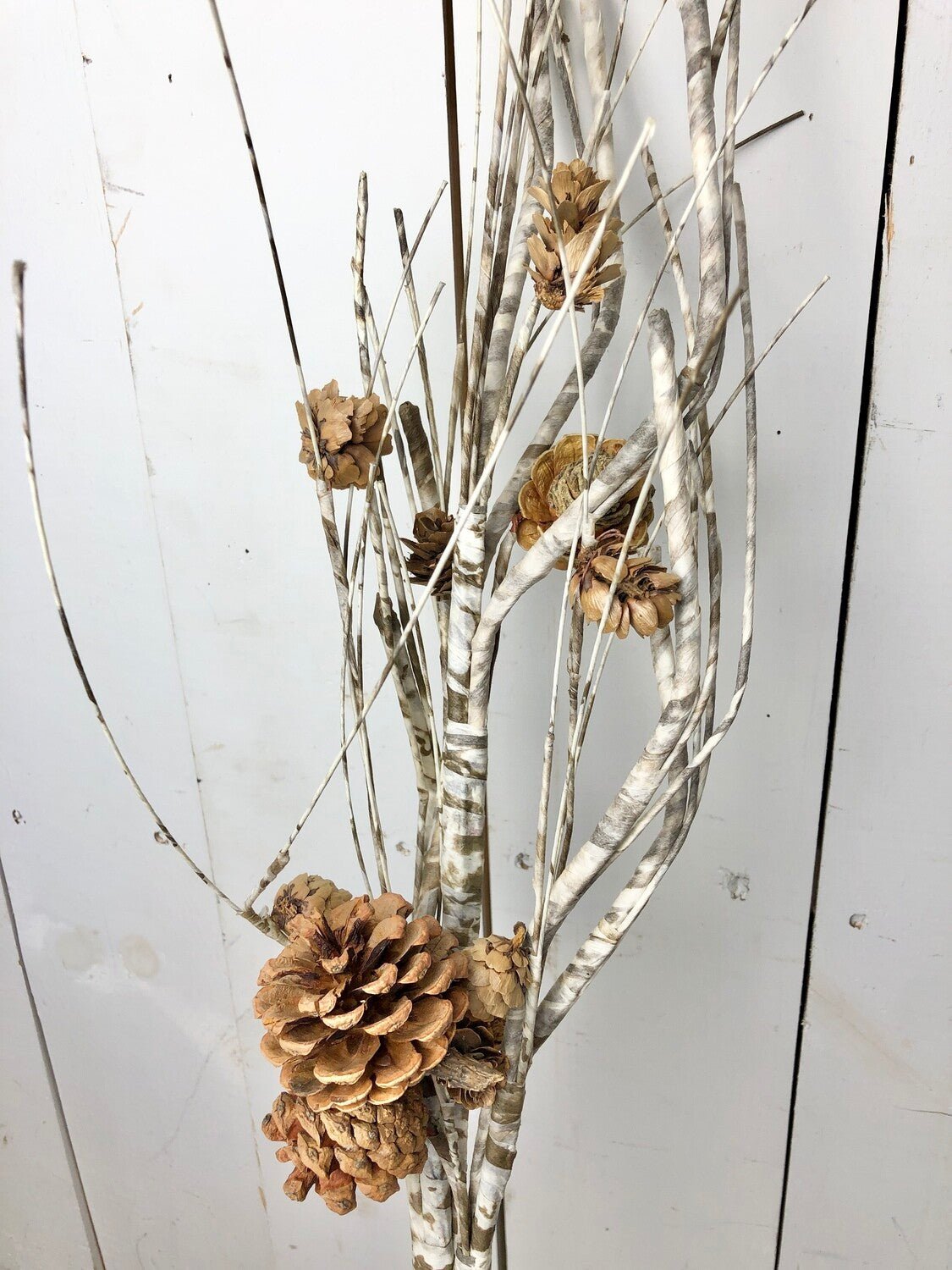 White Birch Pinecone Spray