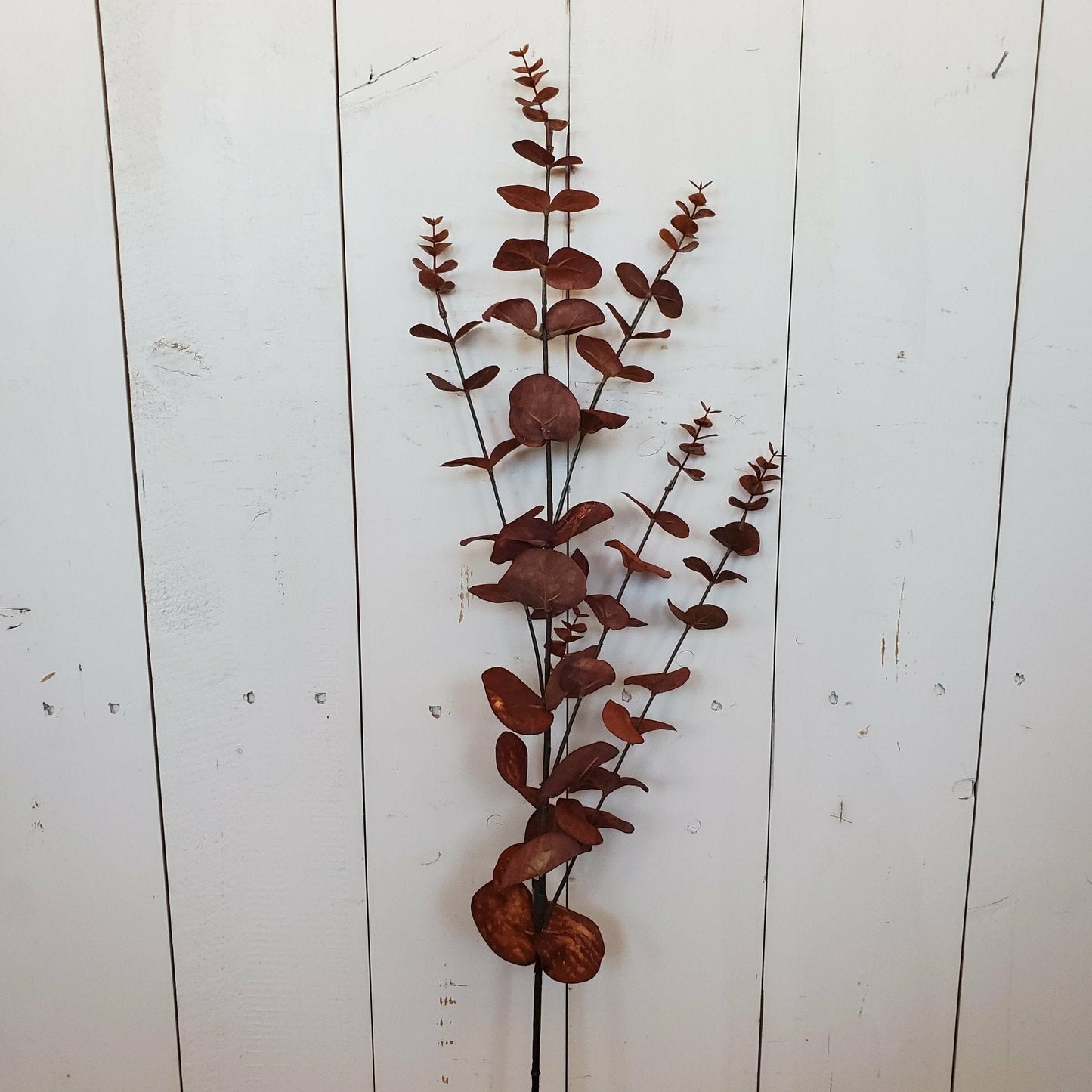 Brown Eucalyptus Spray