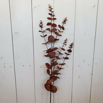 Brown Eucalyptus Spray