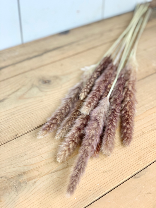 Faux Dried Natural Pampas Grass Bundle - Purple