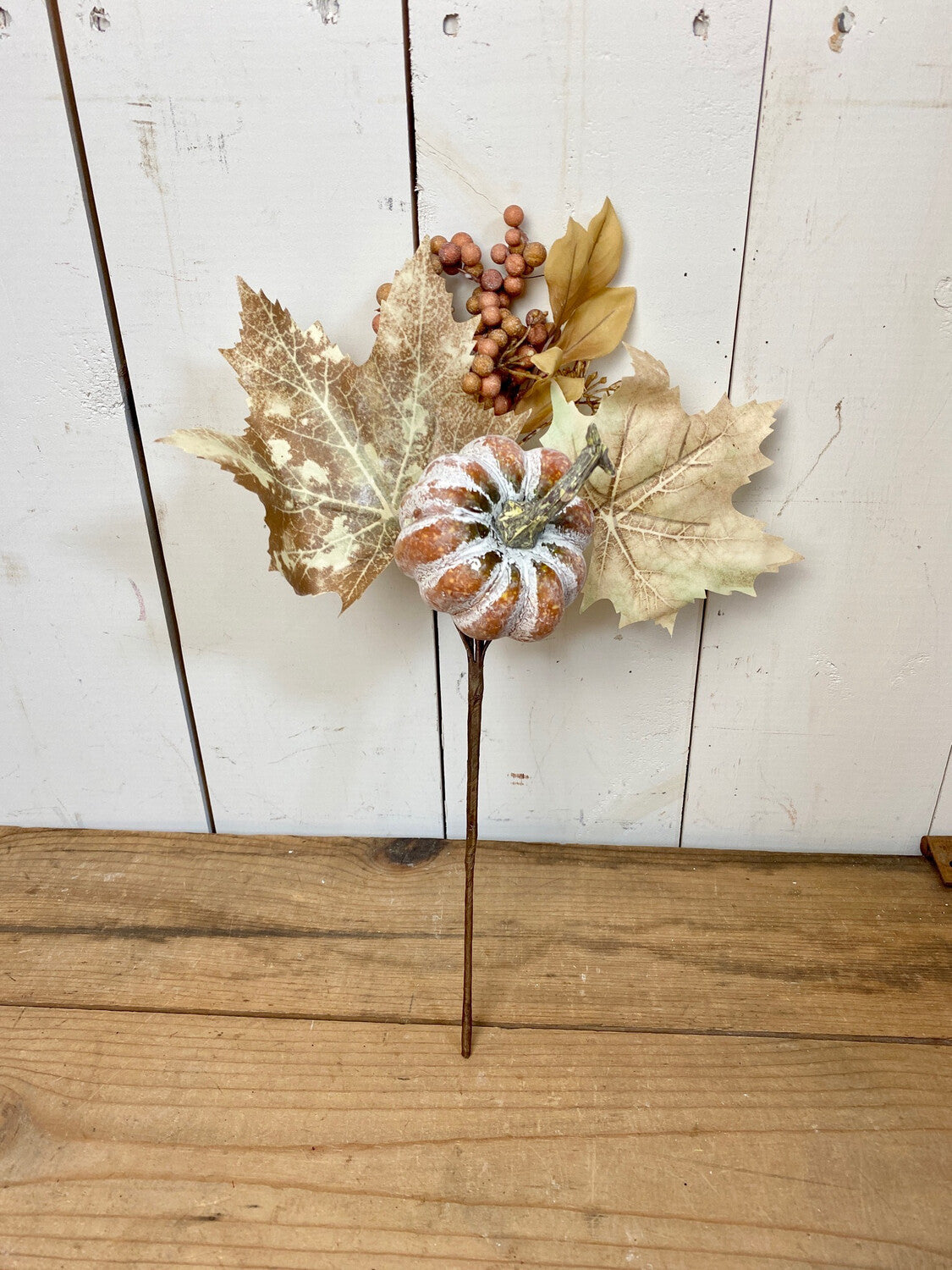 Neutral Pumpkin/Gourd Stem - 2 Styles
