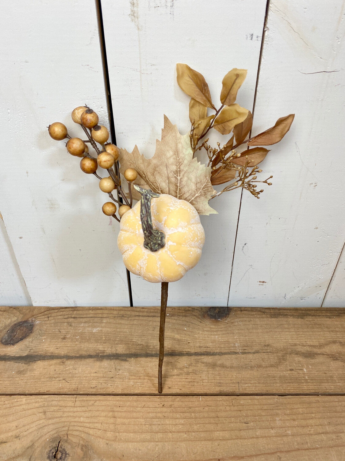 Neutral Pumpkin/Gourd Stem - 2 Styles