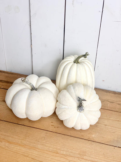 Farmhouse Matte Pumpkins