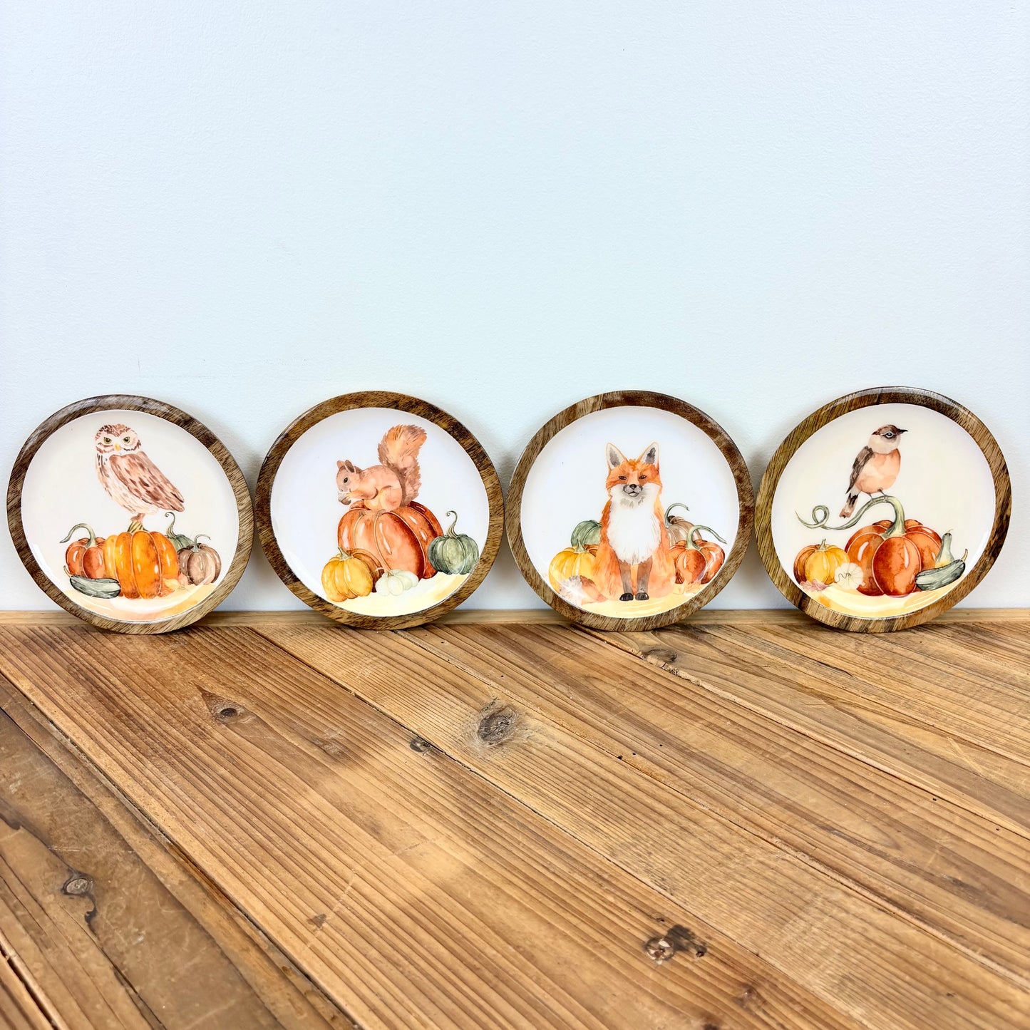 Harvest Friends Trinket Dish - 4 Styles