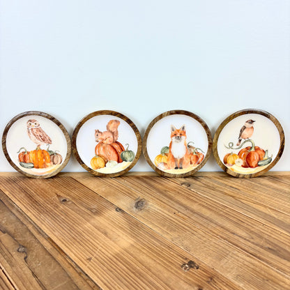 Harvest Friends Trinket Dish - 4 Styles