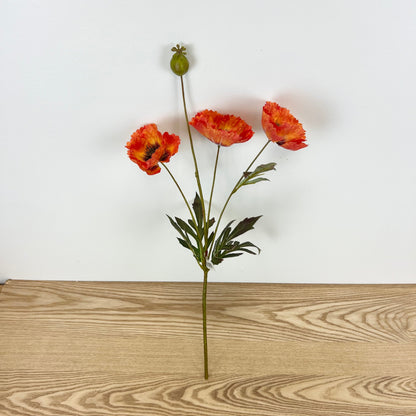 Fall Poppy Stems - 3 Colors
