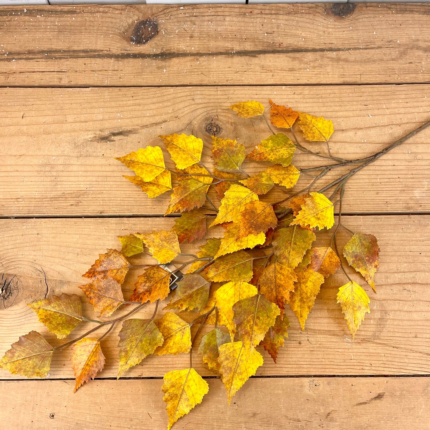 Golden Brown Birch Spray