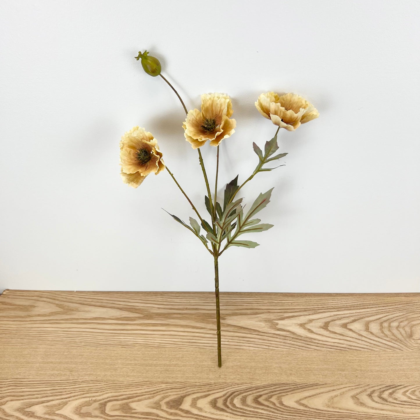 Fall Poppy Stems - 3 Colors