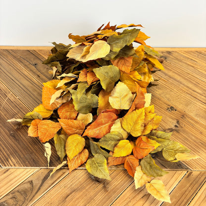 Witch Hazel Leaf Bush/Vine