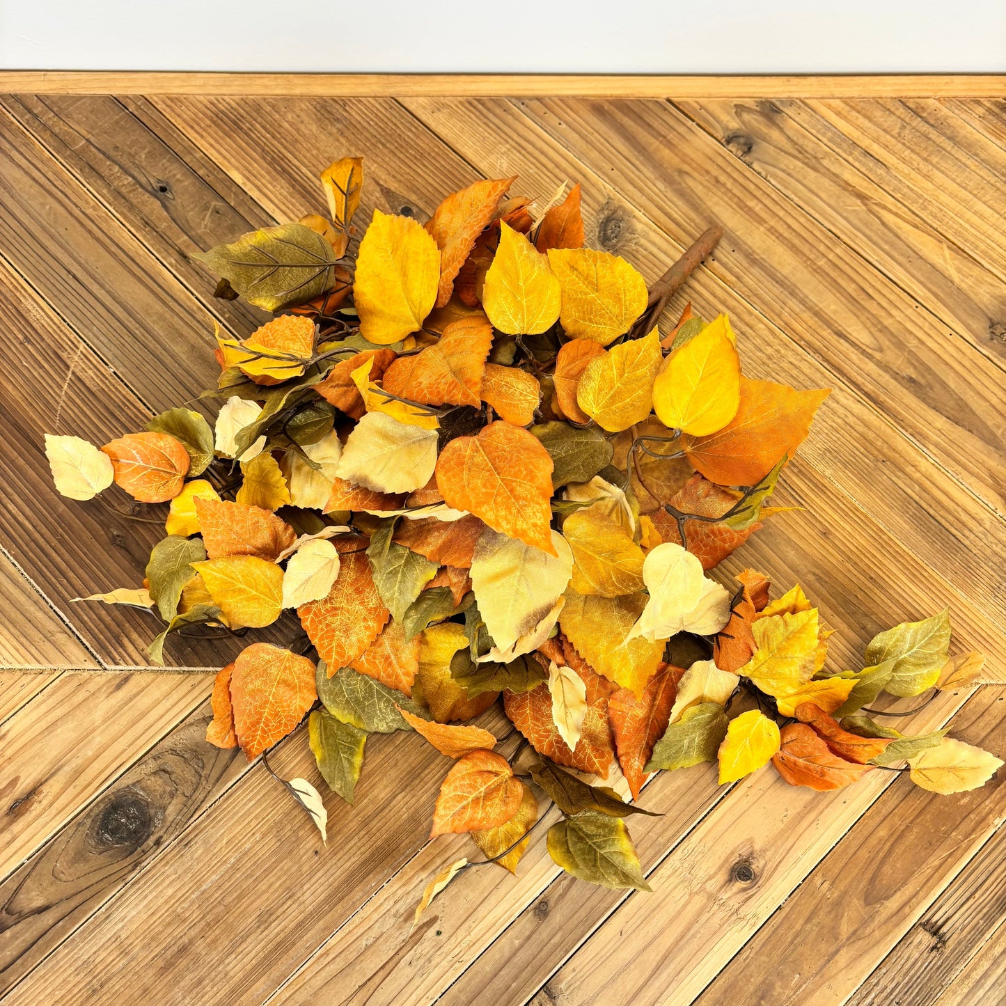 Witch Hazel Leaf Bush/Vine