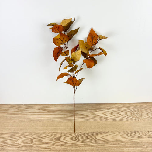 Fall Leaf Stem