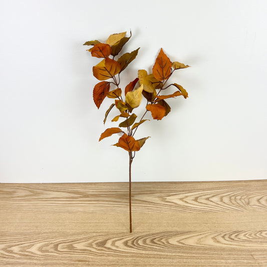 Fall Leaf Stem