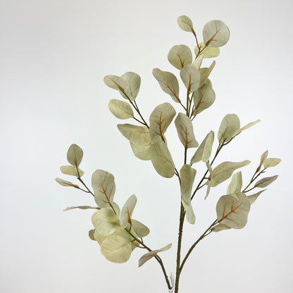 Light Green Silver Dollar Eucalyptus Spray