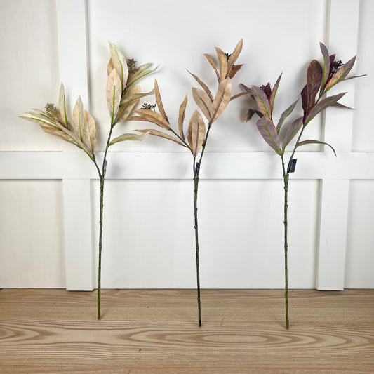 Leaf Seed Spray - 3 Colors