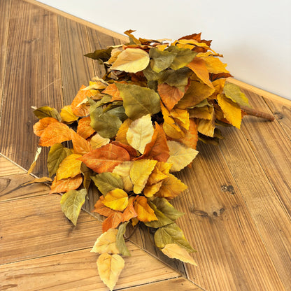 Witch Hazel Leaf Bush/Vine