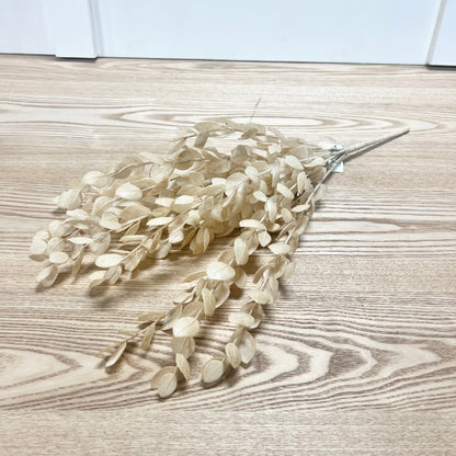 Cream Eucalyptus Bundle