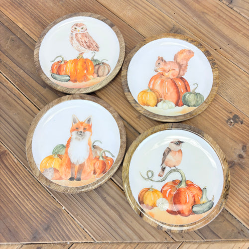 Harvest Friends Trinket Dish - 4 Styles