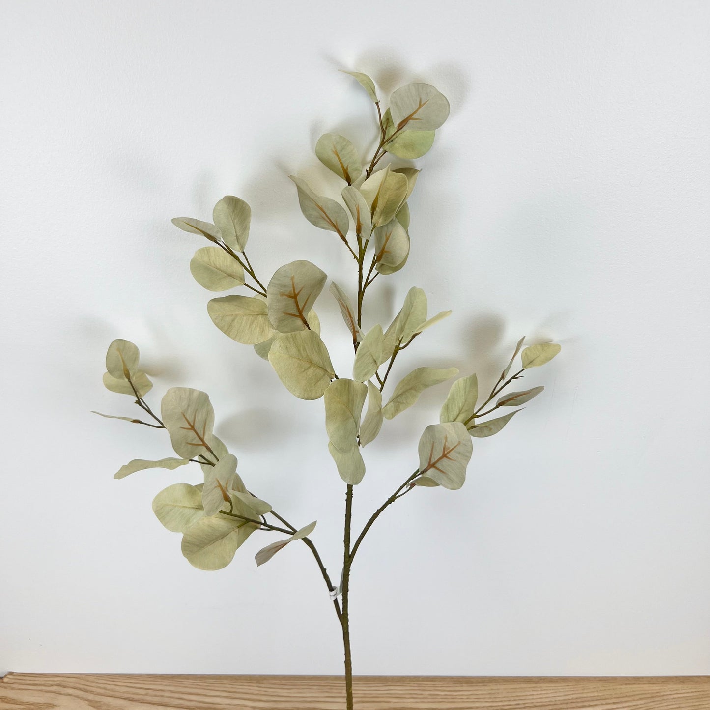 Light Green Silver Dollar Eucalyptus Spray