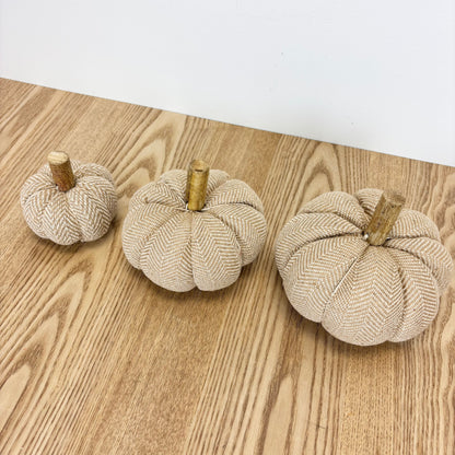 Beige Pumpkin - 3 Sizes