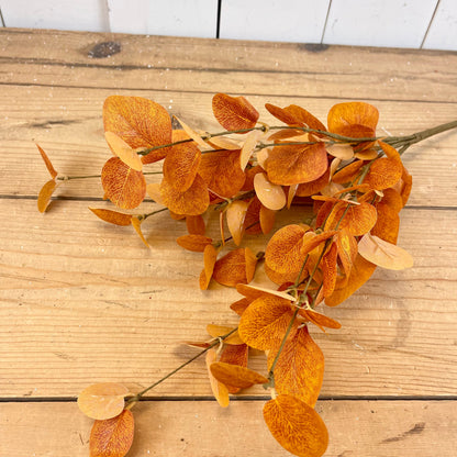 Autumn Eucalyptus Bush