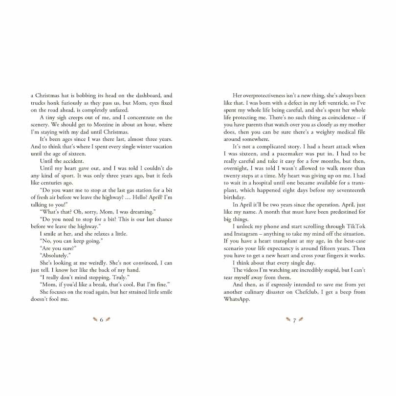 Christmas Advent Book