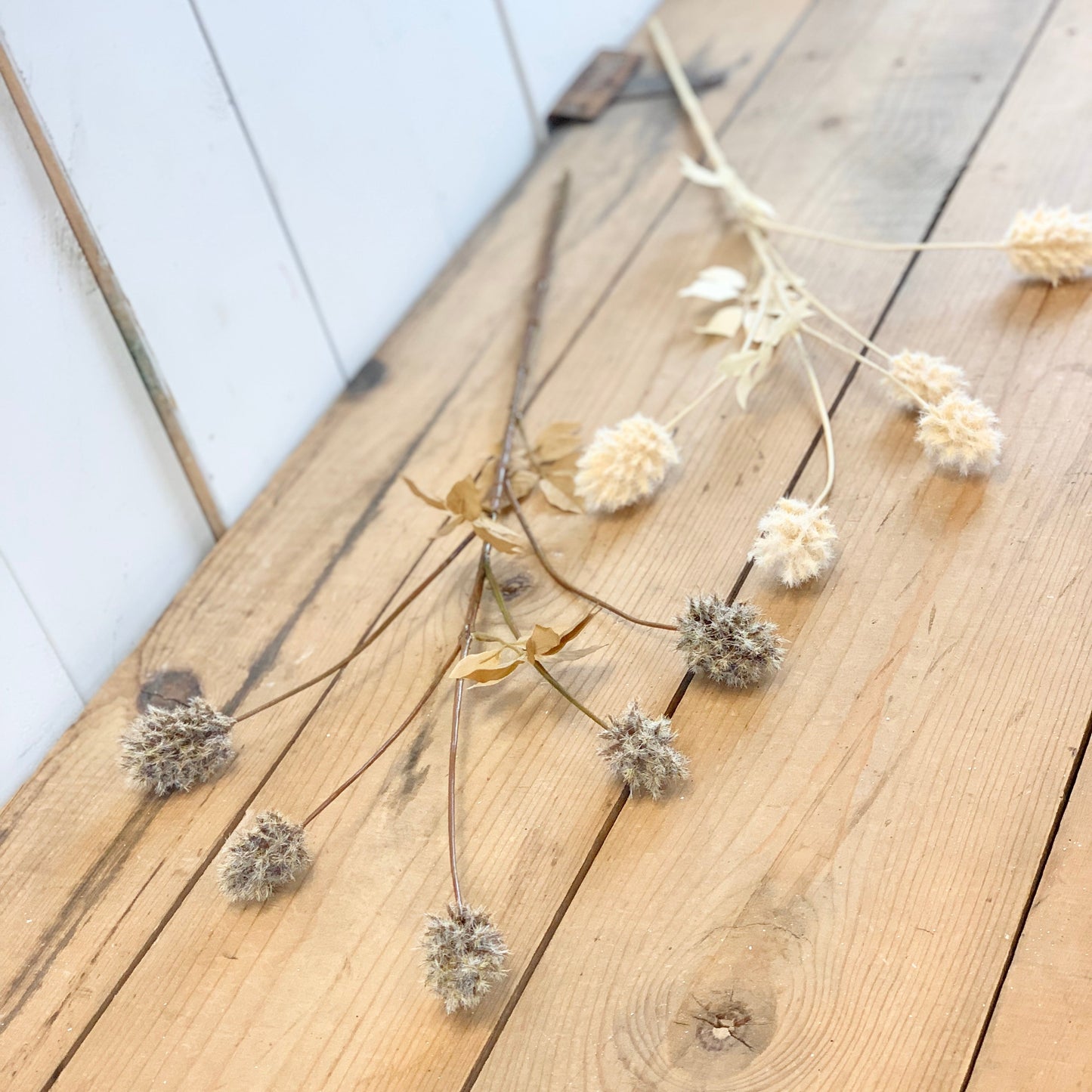 Faux Dried Thistle Stems