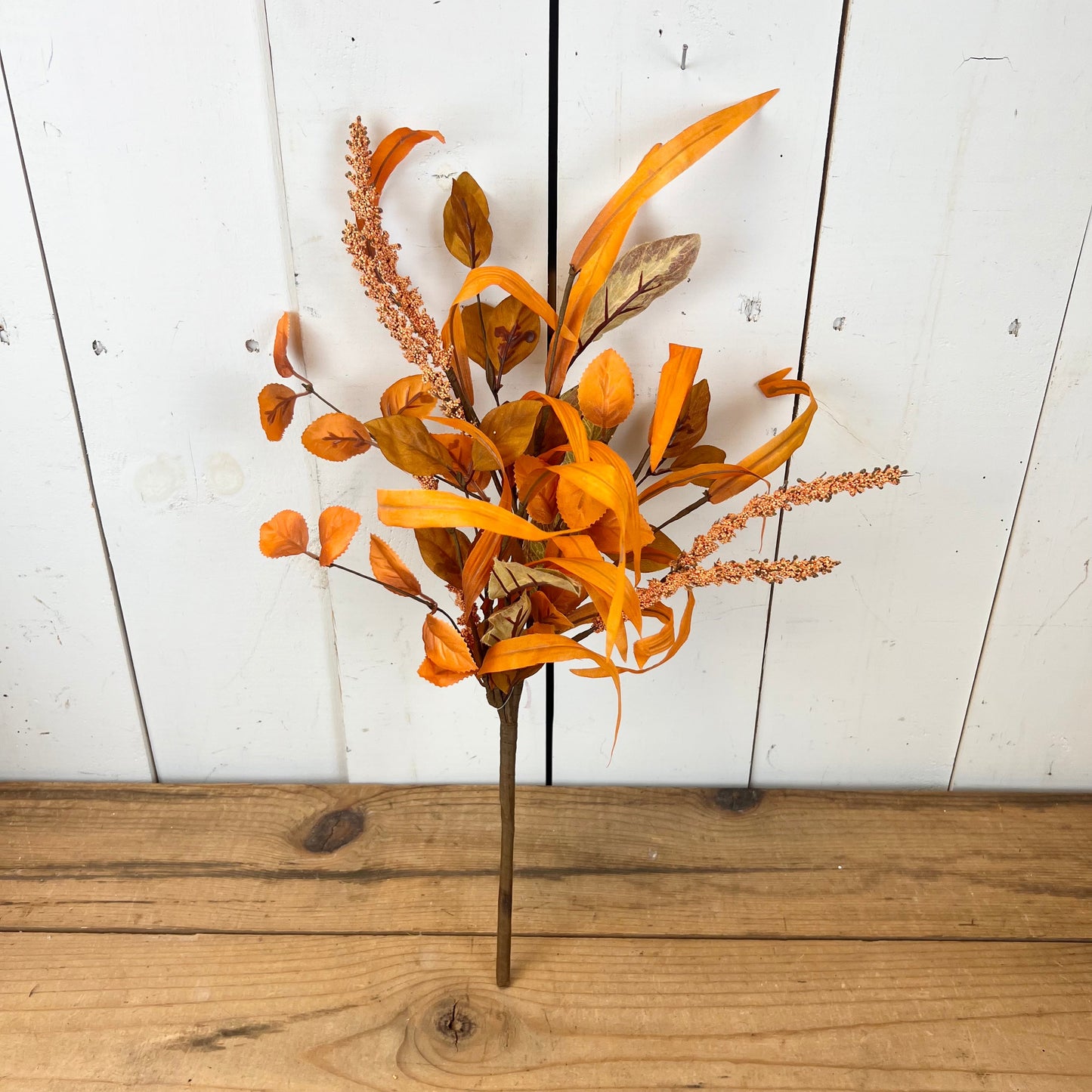 Vibrant Orange Fall Leaf Collection