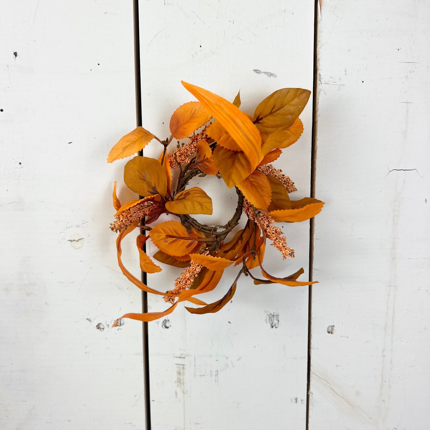 Vibrant Orange Fall Leaf Collection