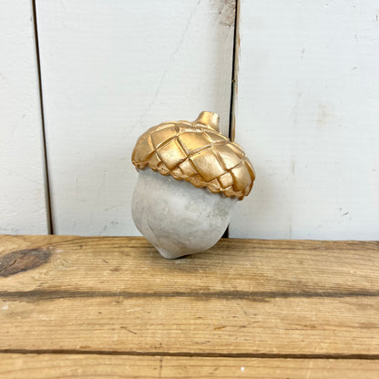 Cement and Gold Pumpkin/Acorn