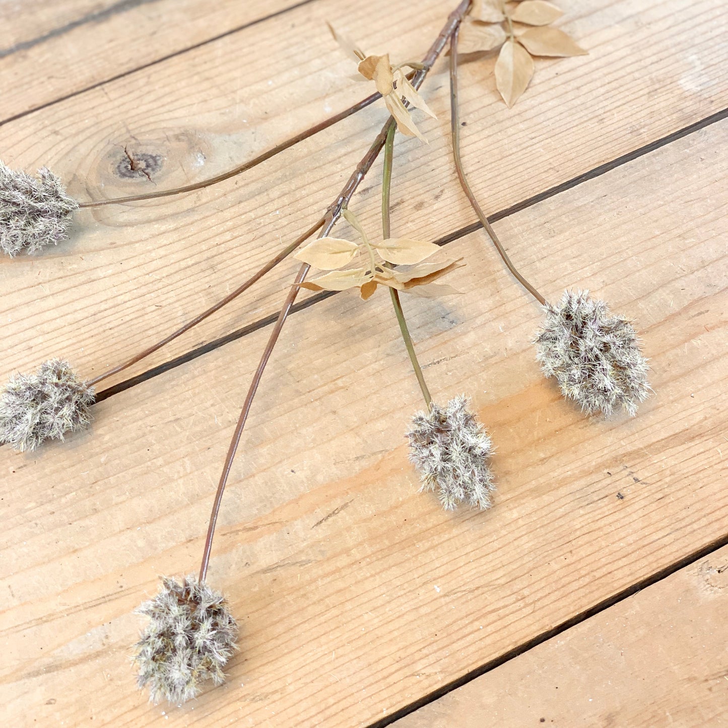 Faux Dried Thistle Stems