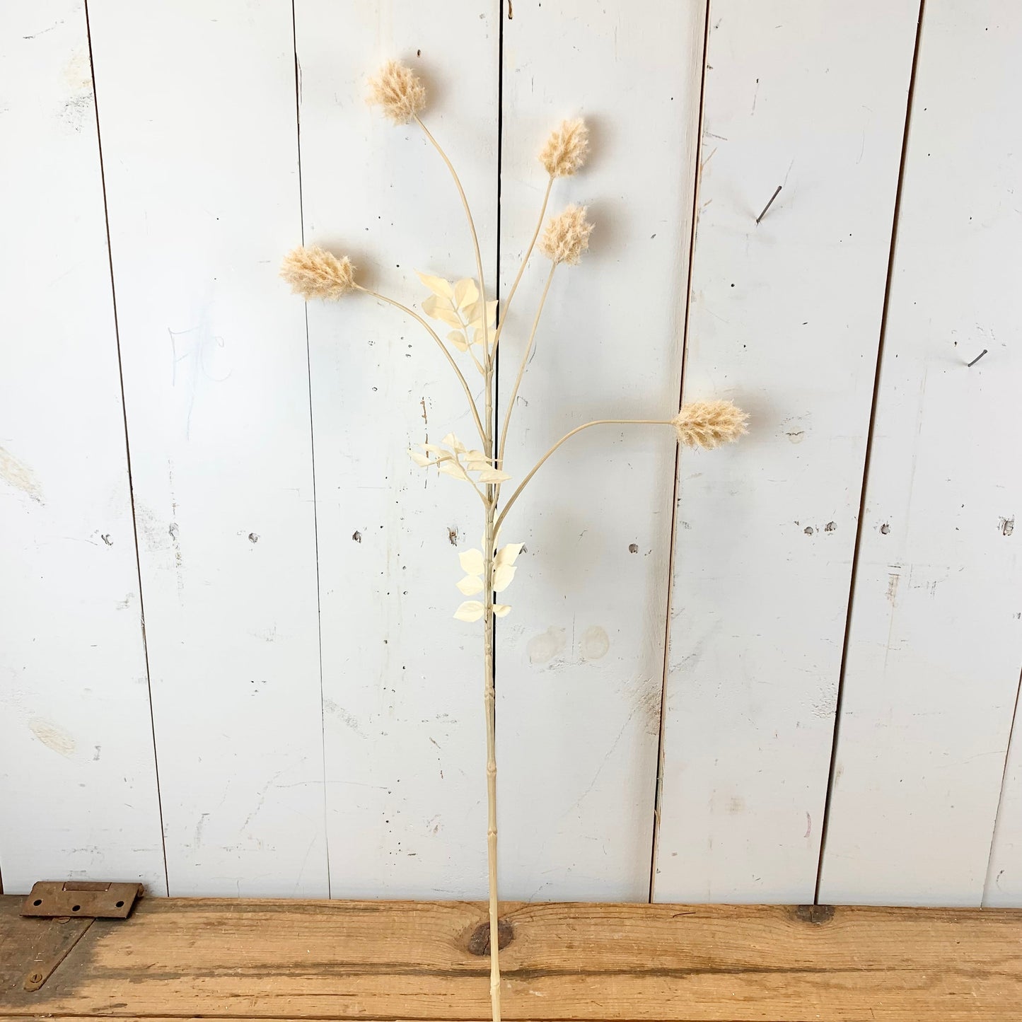 Faux Dried Thistle Stems