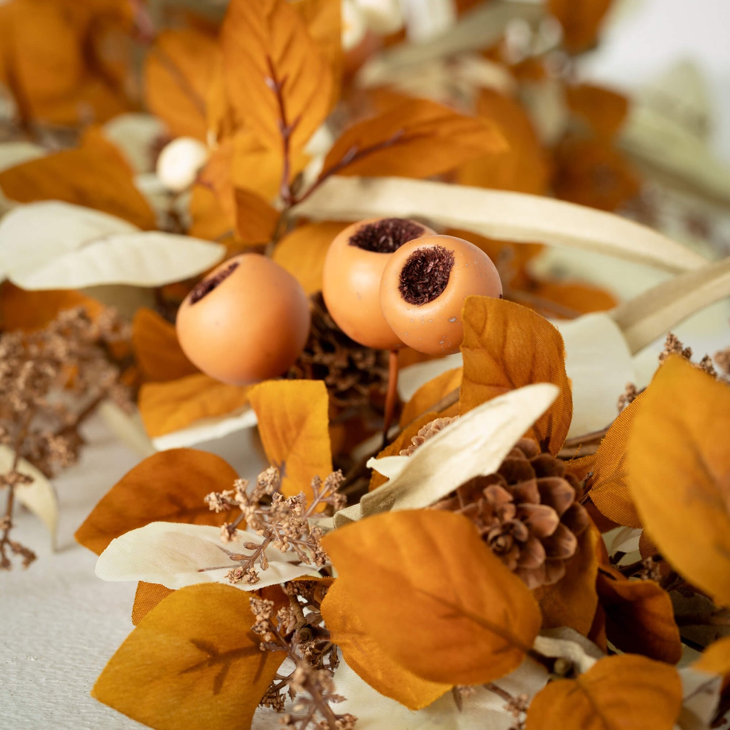 Cream and Orange Fall Collection