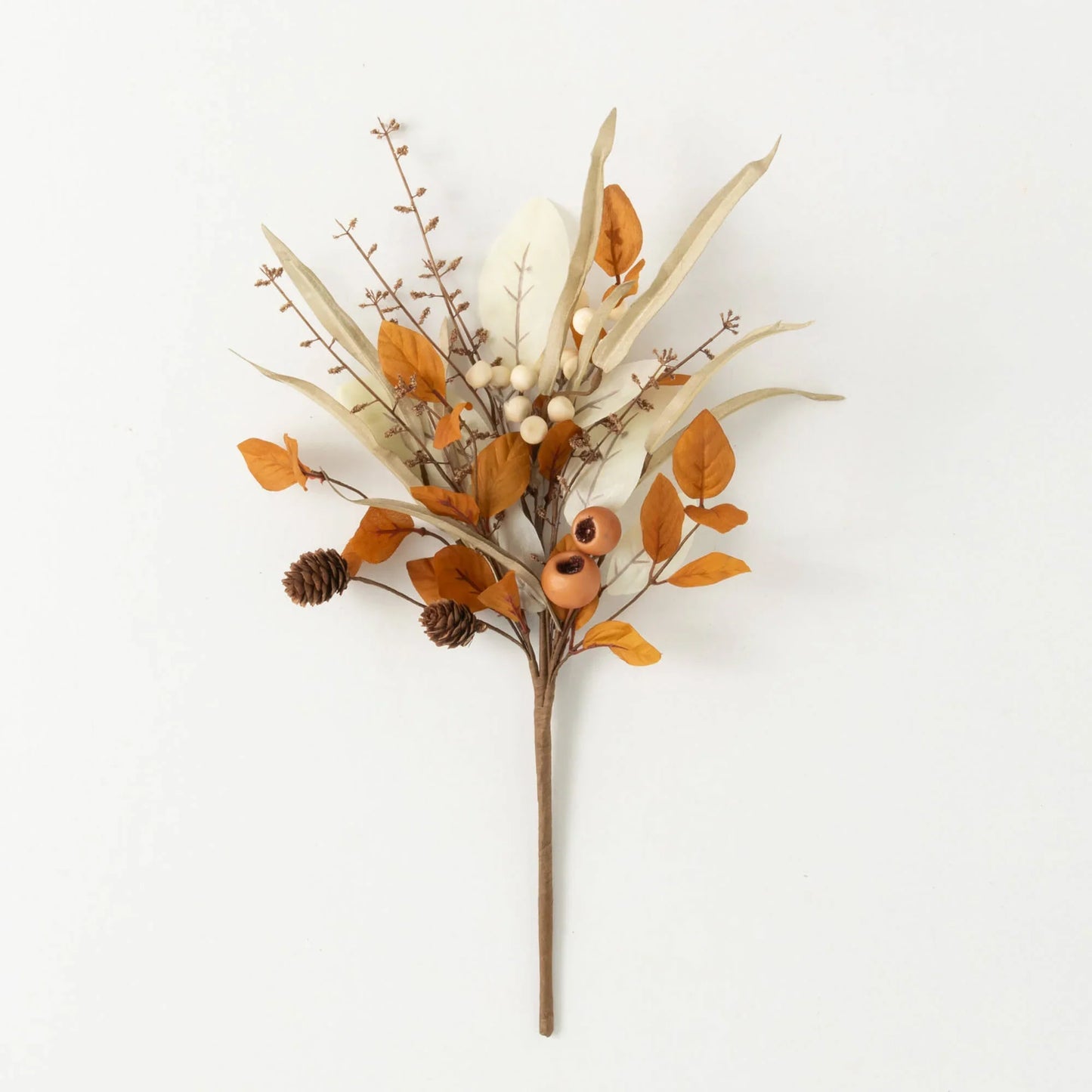 Cream and Orange Fall Collection